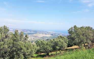 Uliveti Ranieri