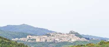 Uliveti Ranieri